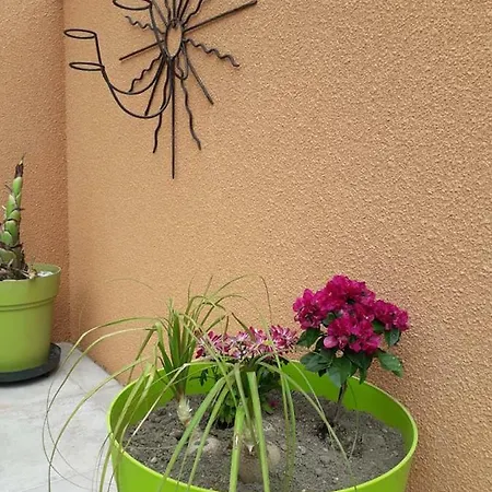 Semesterbostad Lili Céret