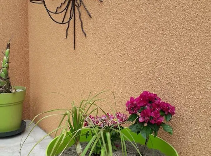 Дом отдыха Lili Сере